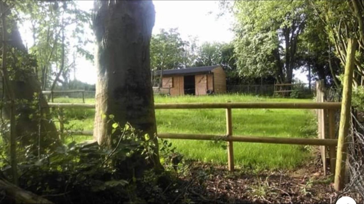Meerkat Manor Colwall Exteriér fotografie